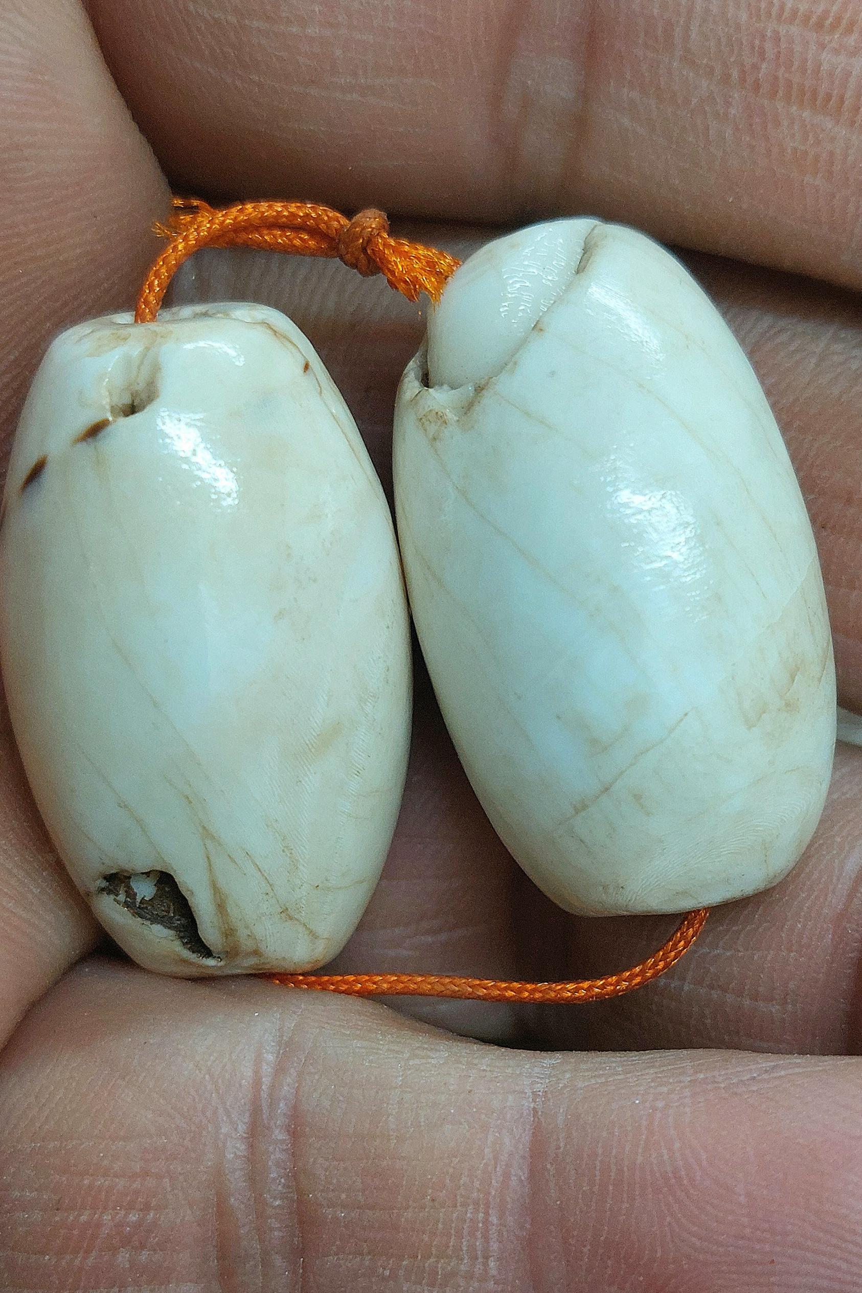 عطف بحری جفت