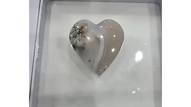 سنگ عقیق شجر کلکسیونی