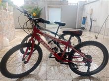 دوچرخه
