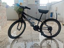 دوچرخه