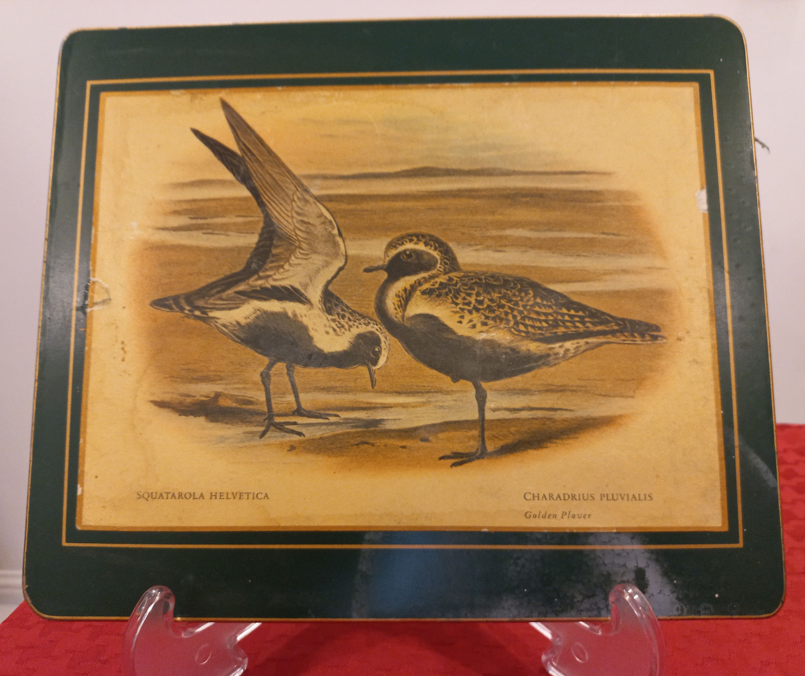 زیر بشقابی انگلیسی Lady Clare قدیمی