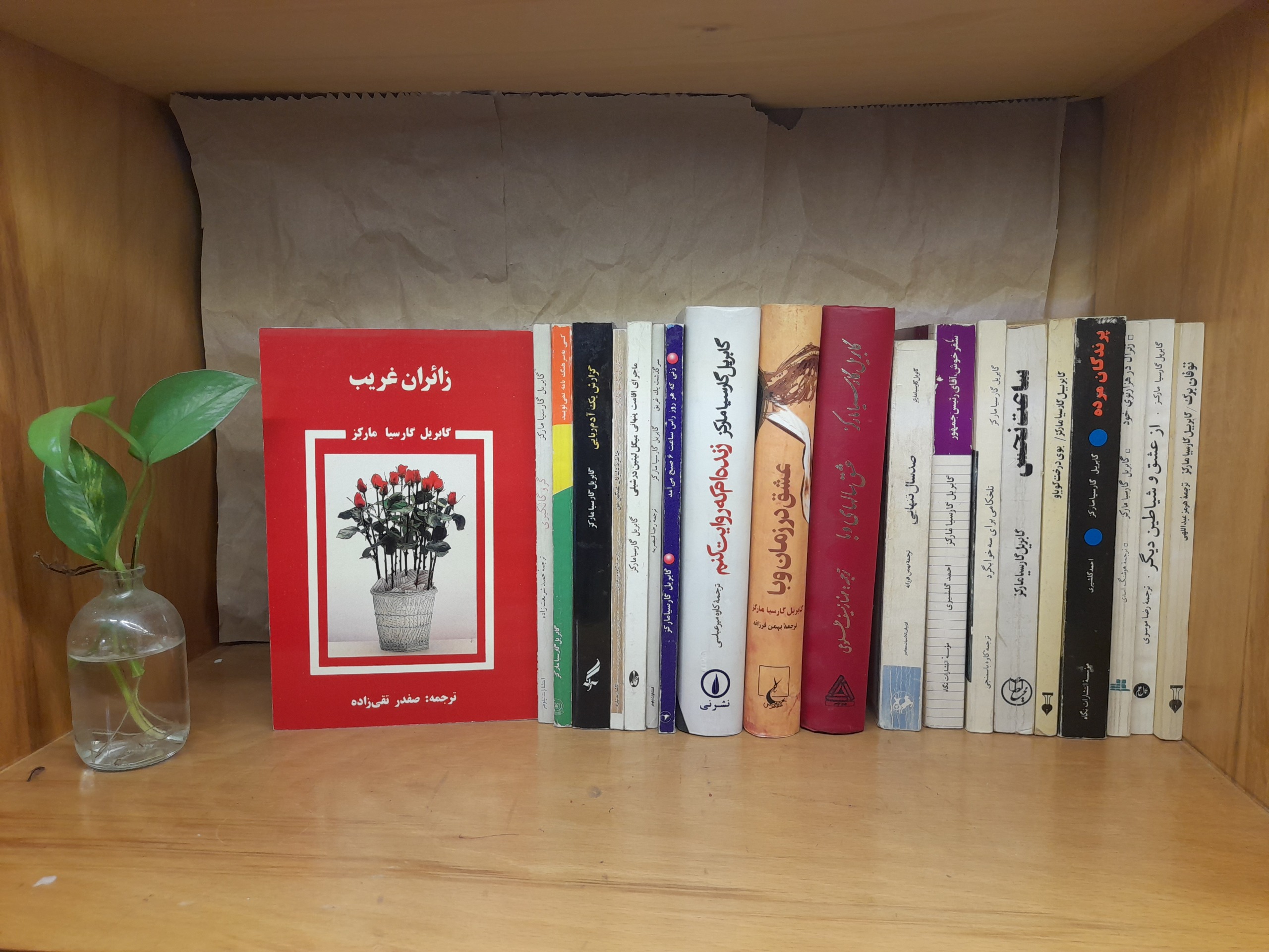 زائران غریب -گابریل گارسیا مارکز