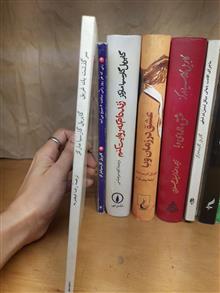 سرگذشت