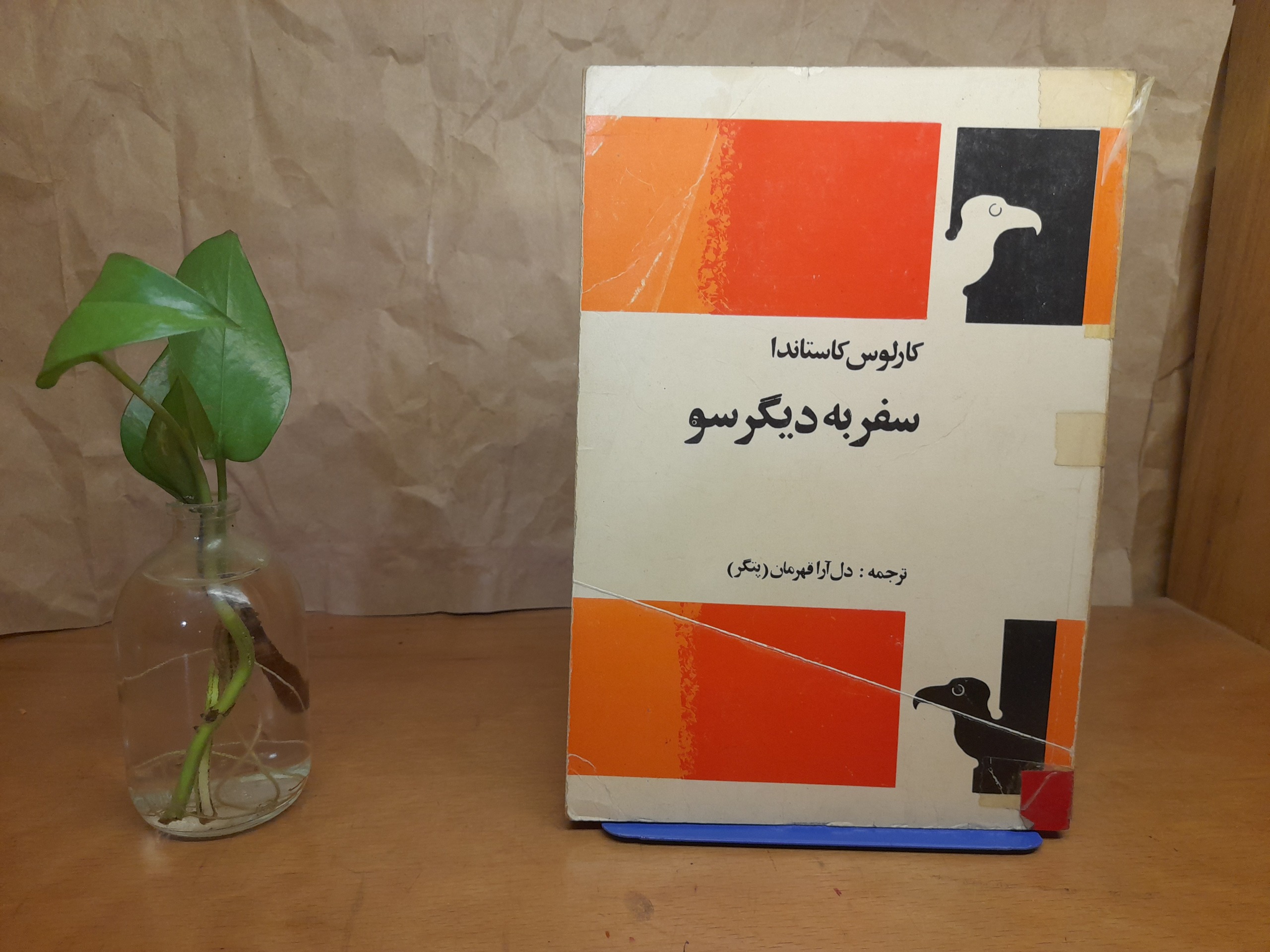 سفر به دیگر سو -کارلوس کاستاندا