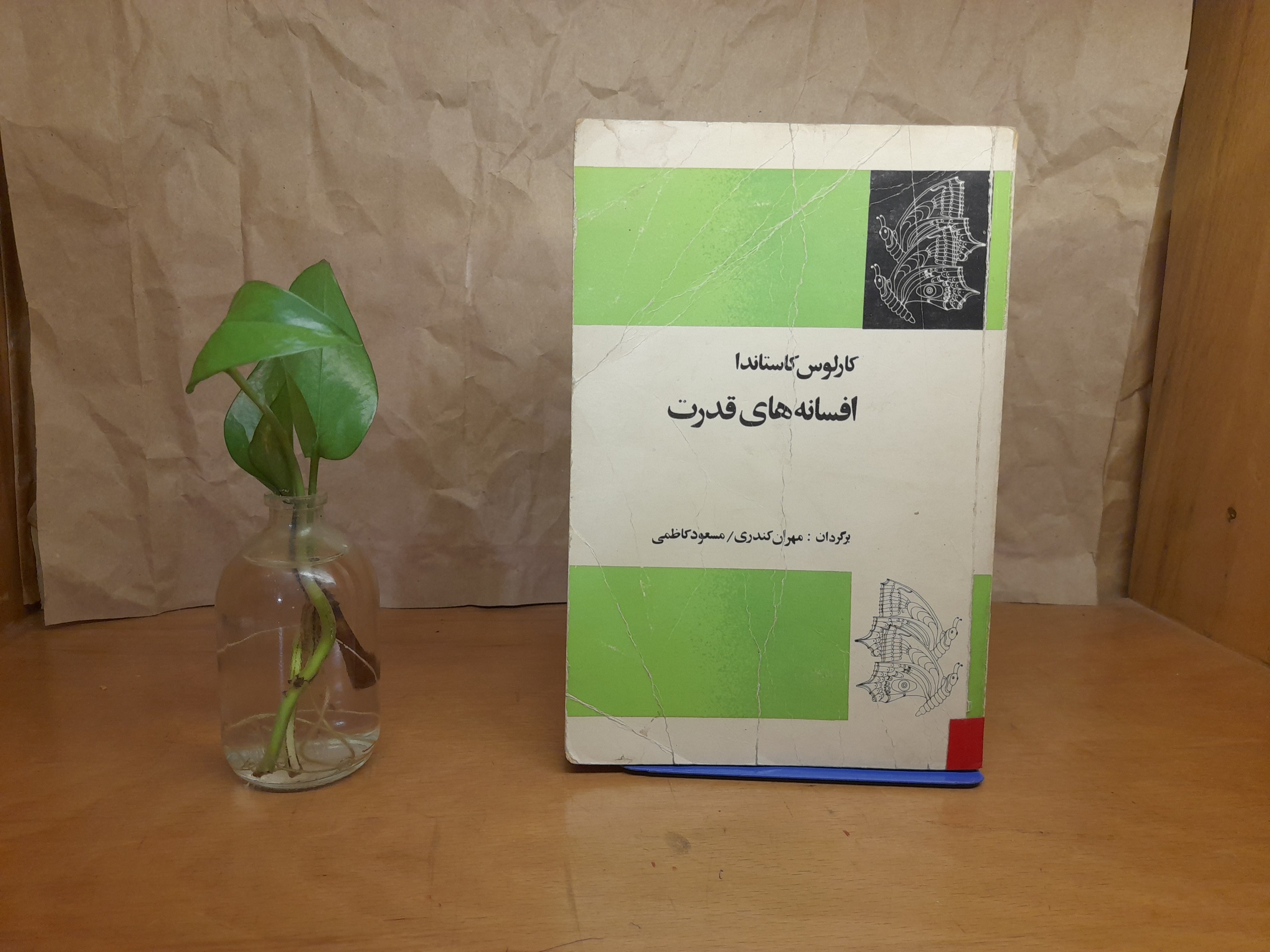 افسانه های قدرت - کارلوس کاستاندا
