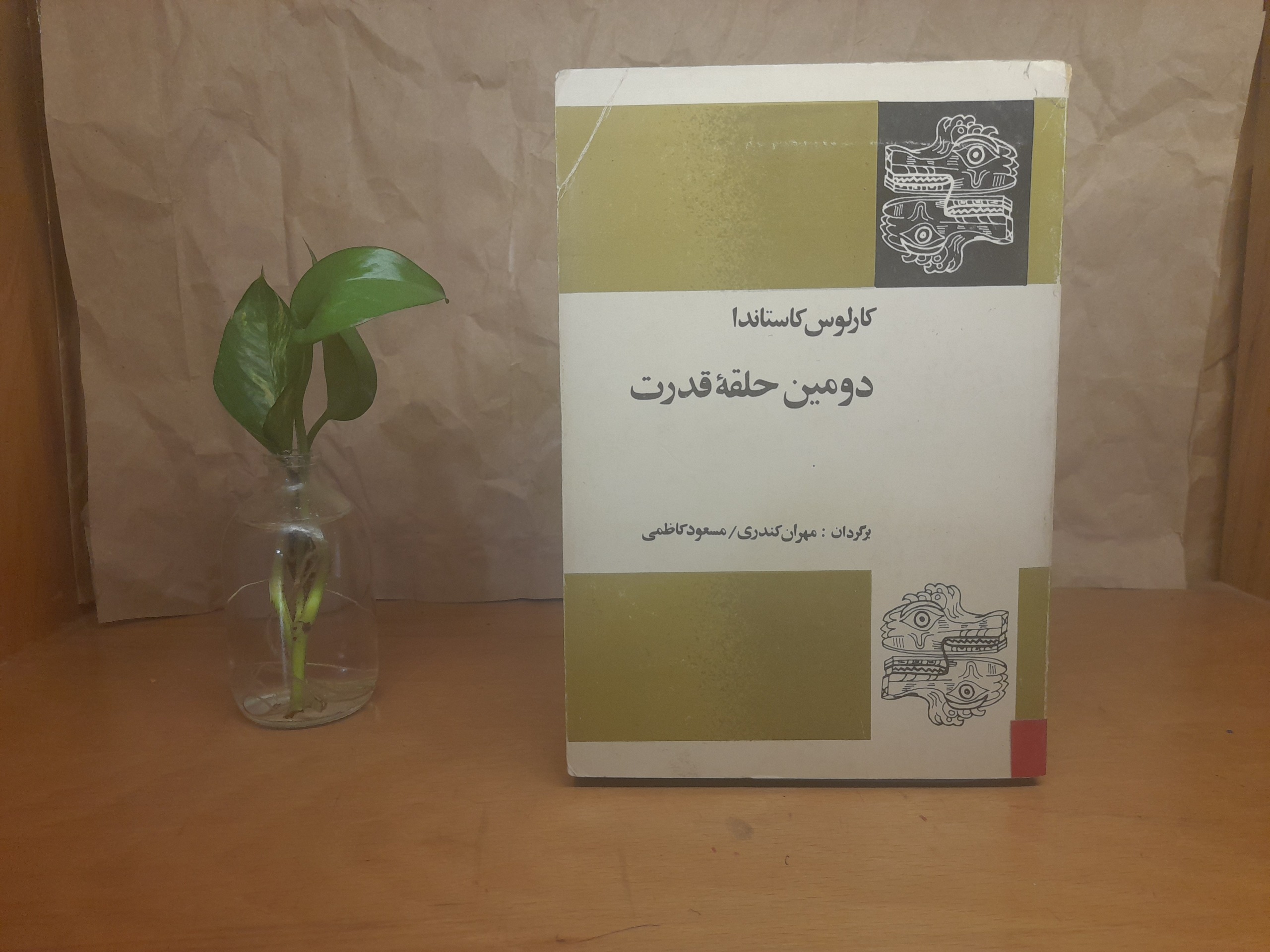 دومین حلقه قدرت -کارلوس کاستاندا