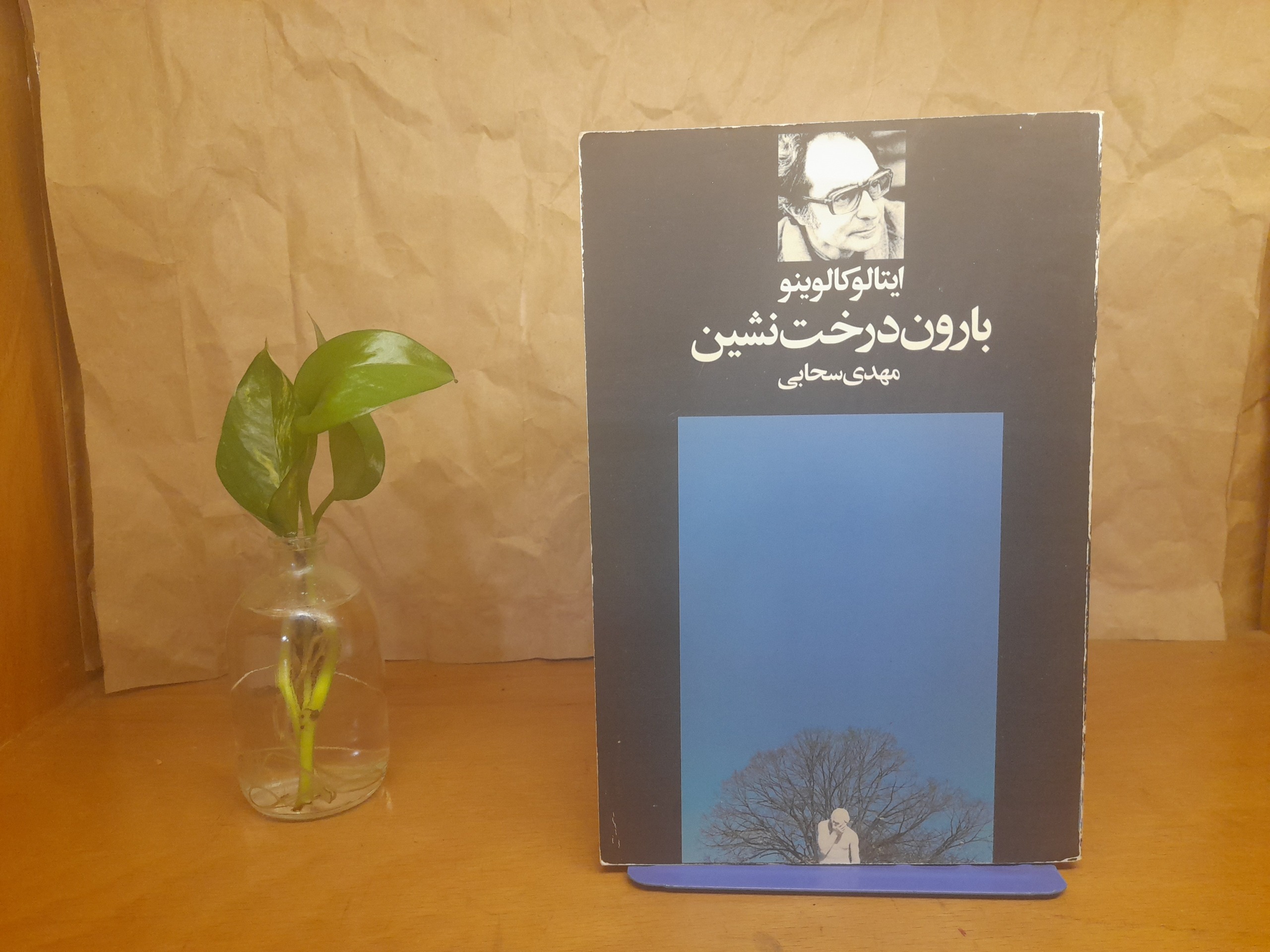 بارون درخت نشین -ایتالوکالینو