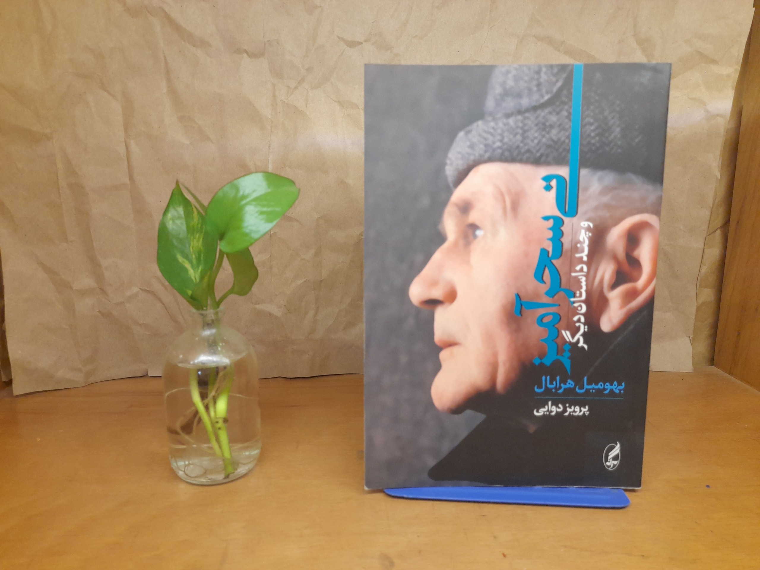 نی سحرآمیز - بهومیل هرابال