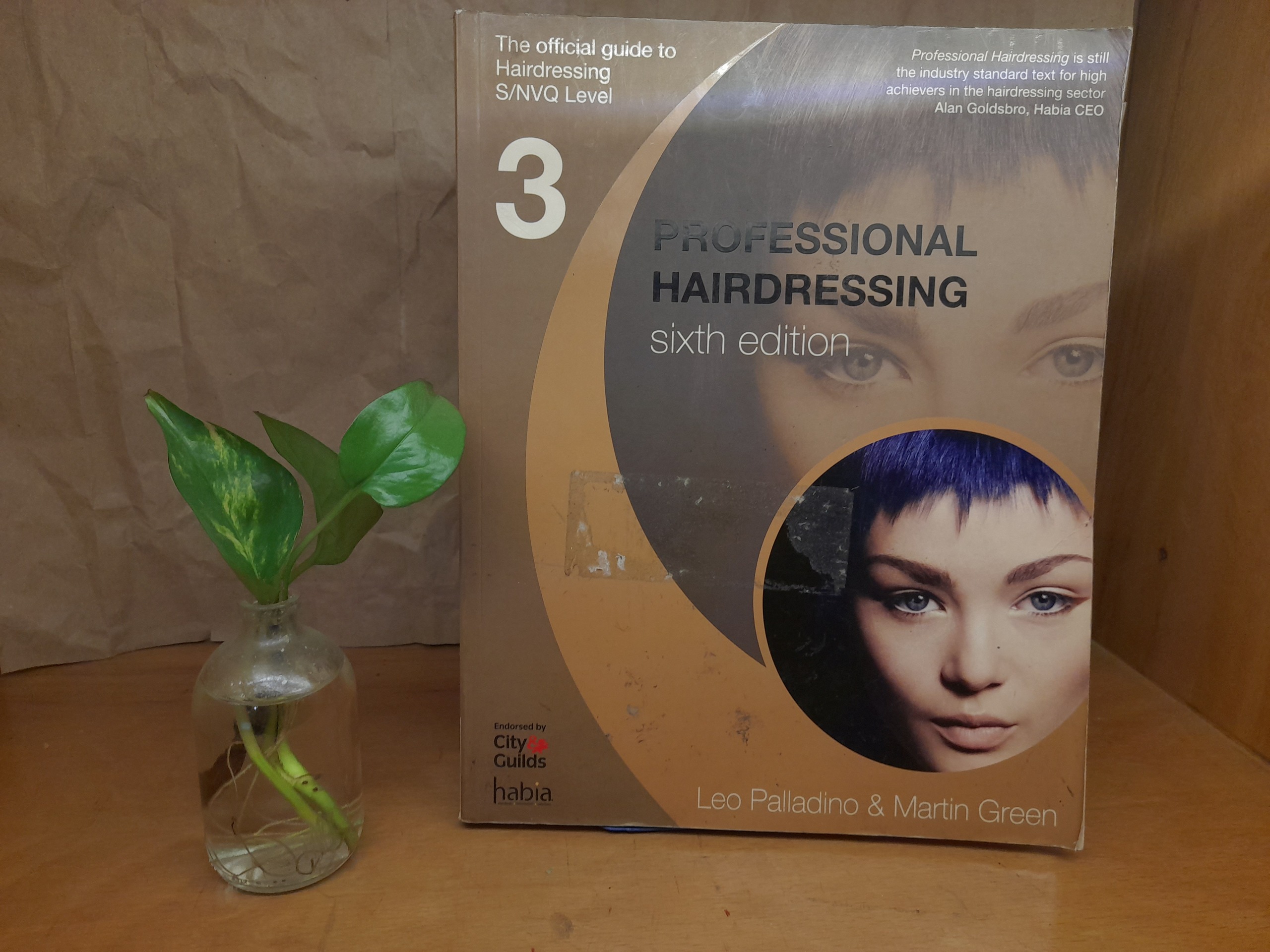 فوق نایاب   PROFESSIONAL HAIRDRESSING
