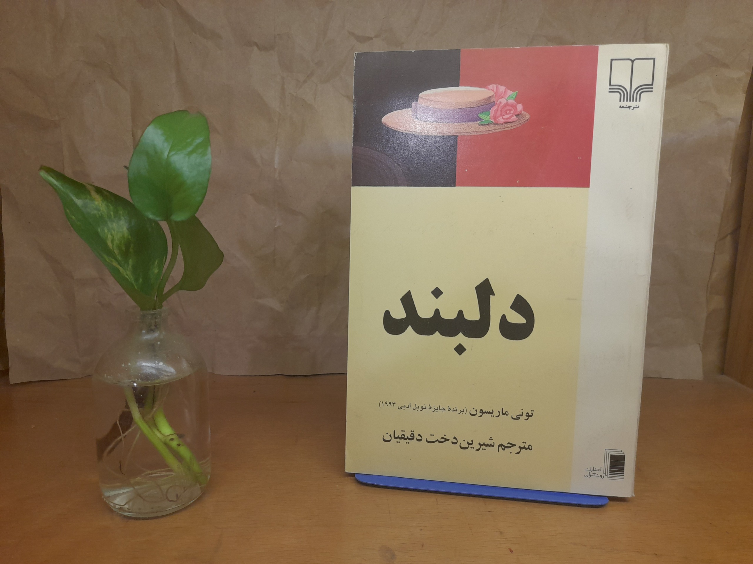 دلبند - تونی ماریسون