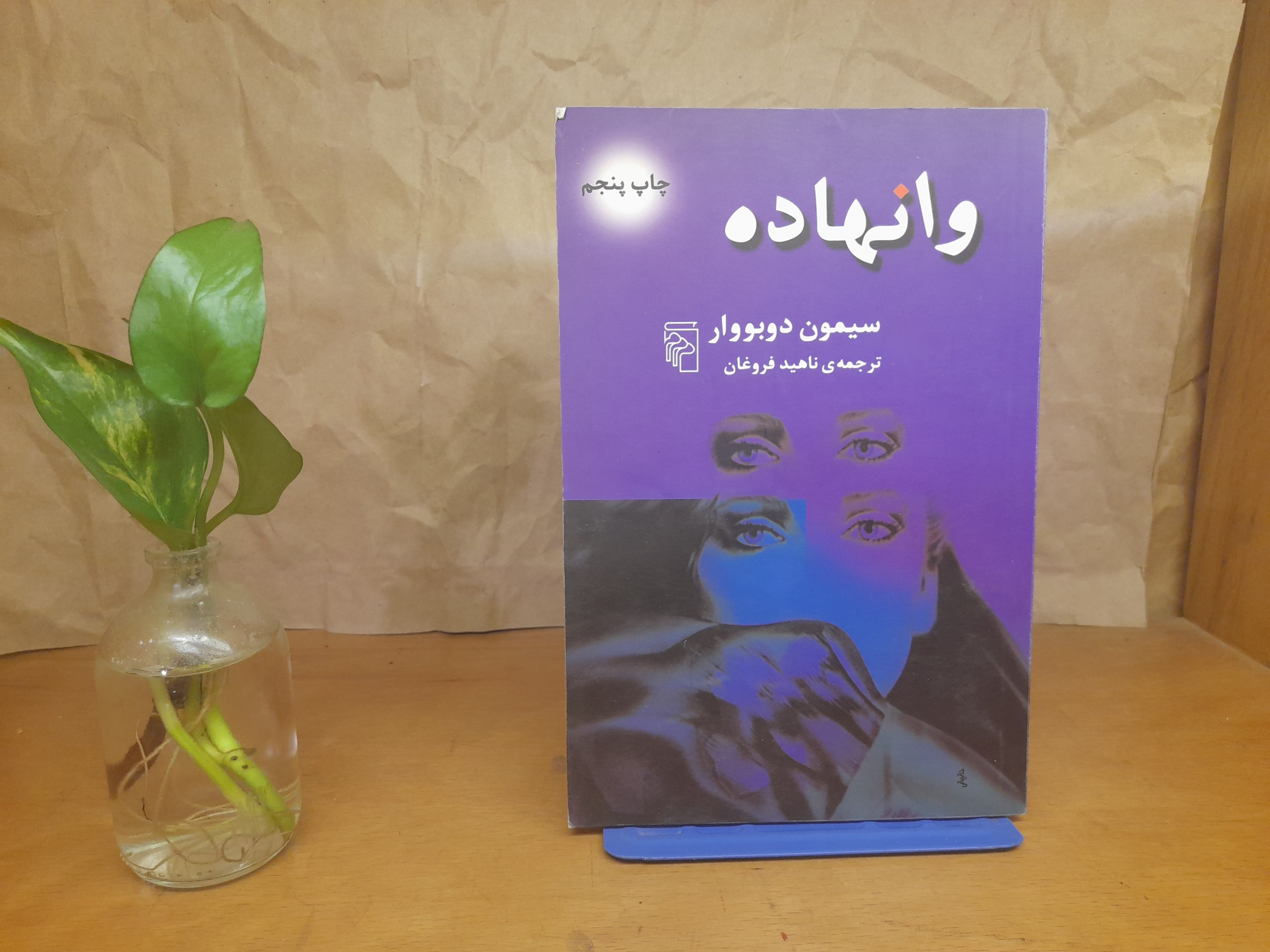 وانهاده - سیمون دوبووار