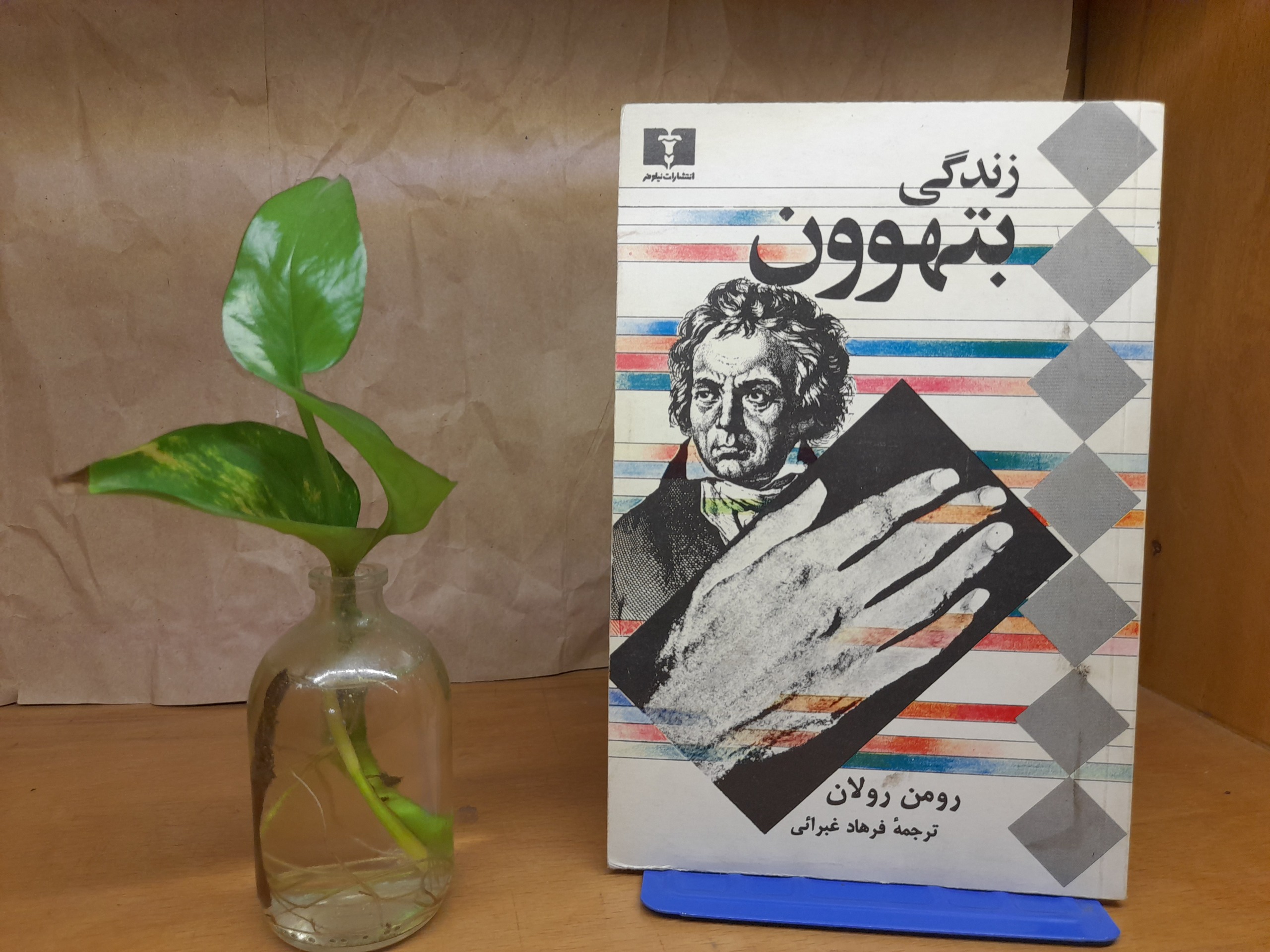 زندگی بتهوون - رومن رولان