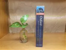 Oxford