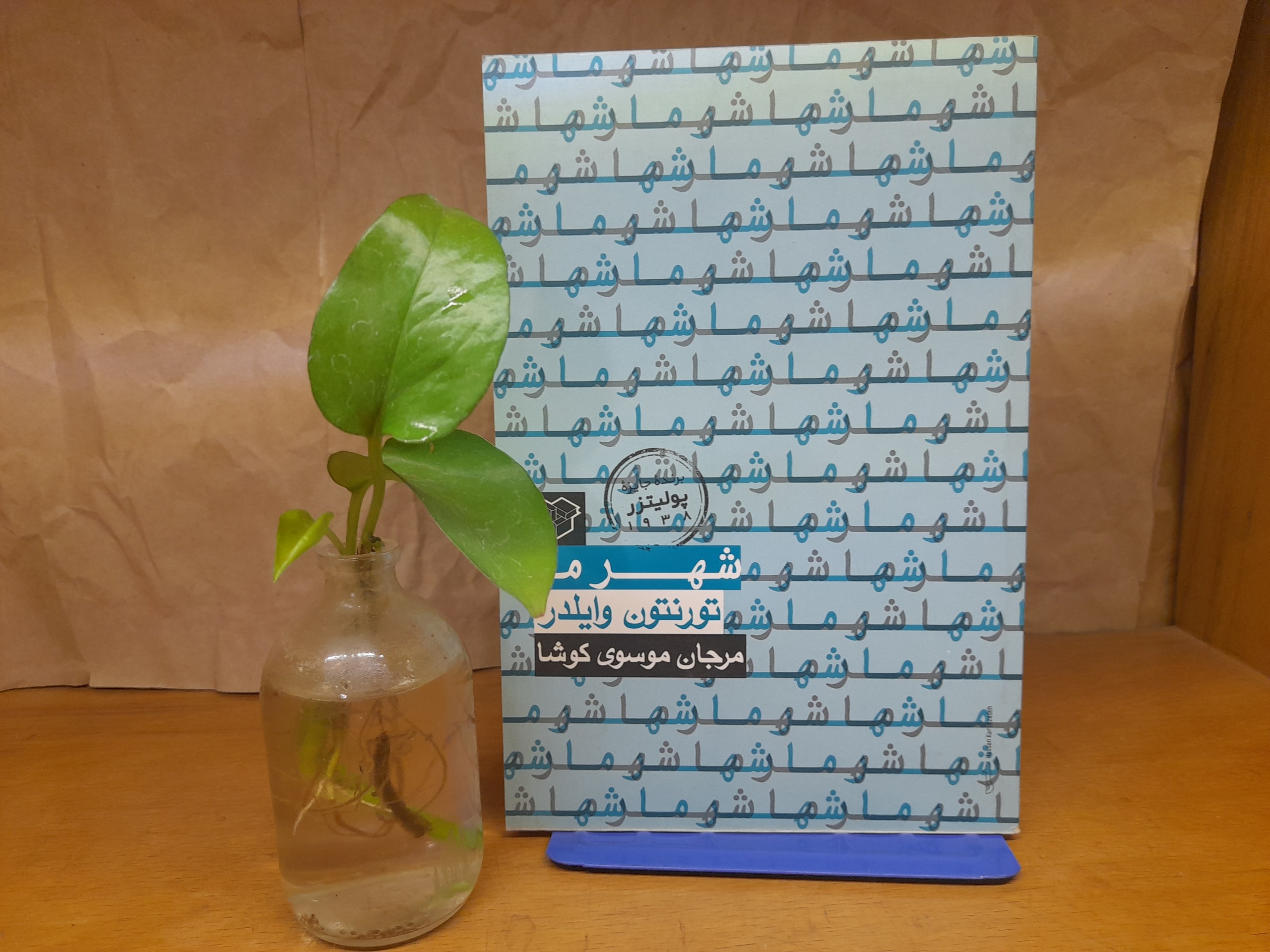 شهر ما تورنتون وایلدر