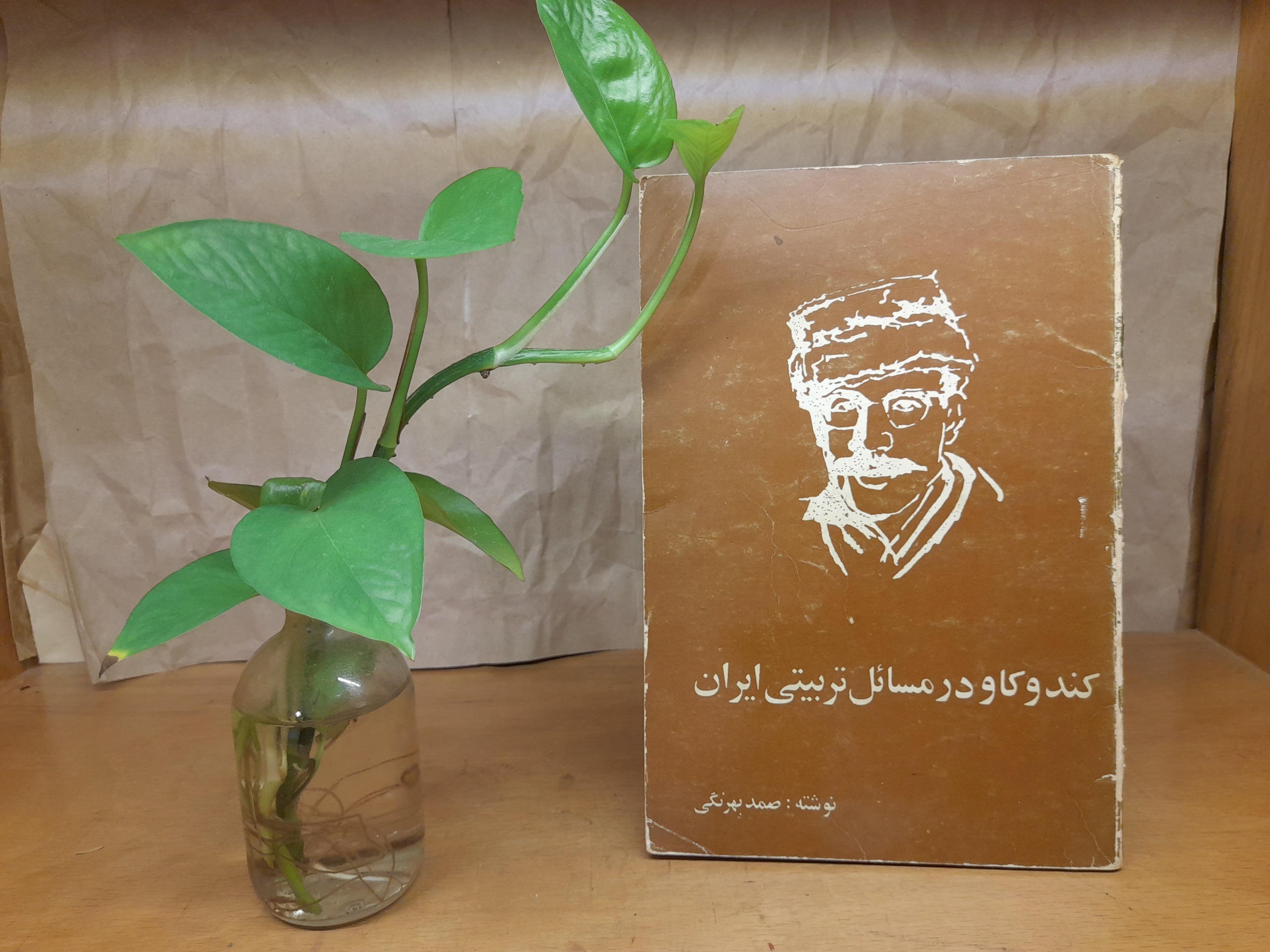 کندوکاو در مسائل تربیتی ایران_(صمد بهرنگی)