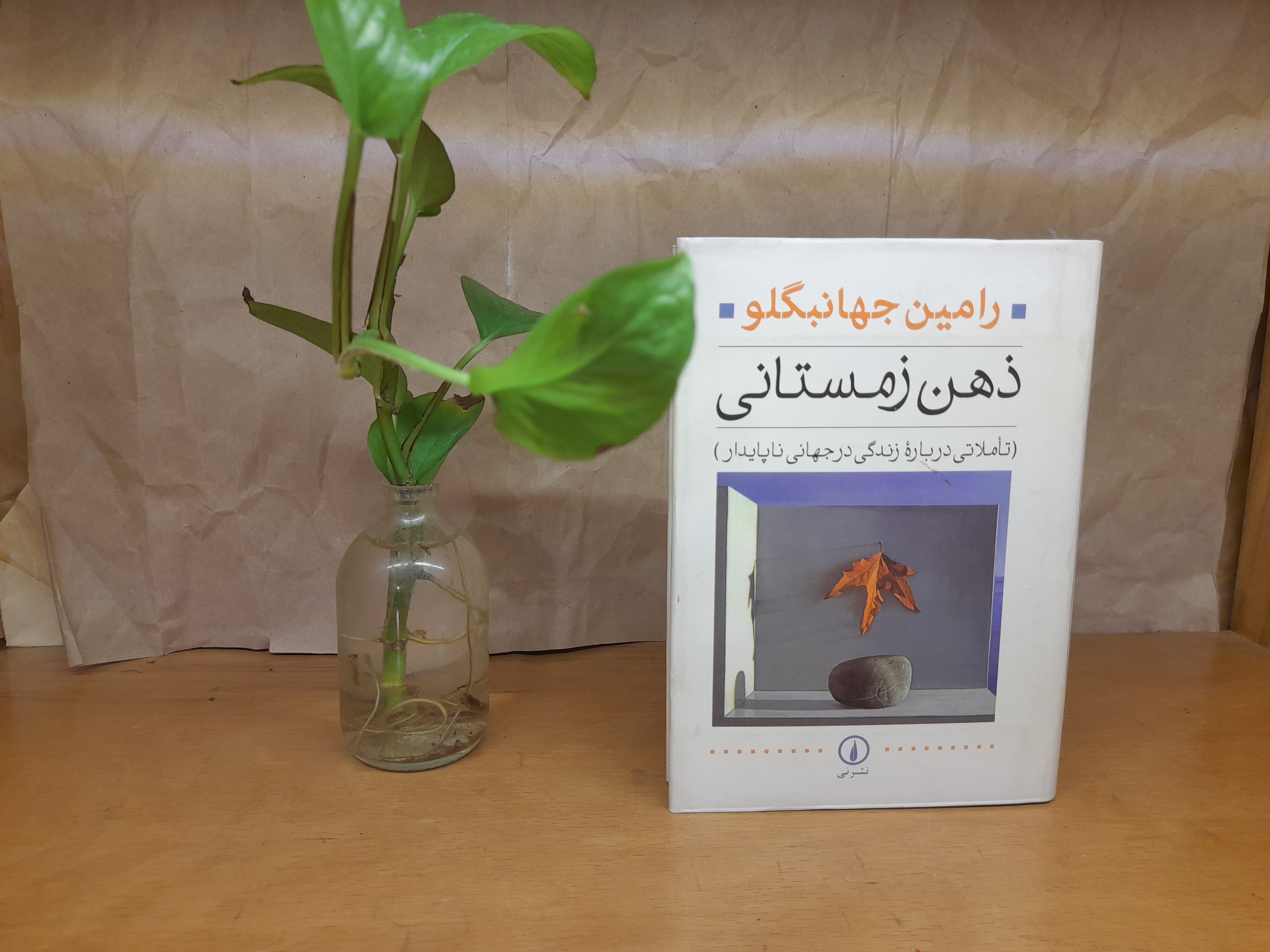 ذهن زمستانی _ رامین جهانبگلو