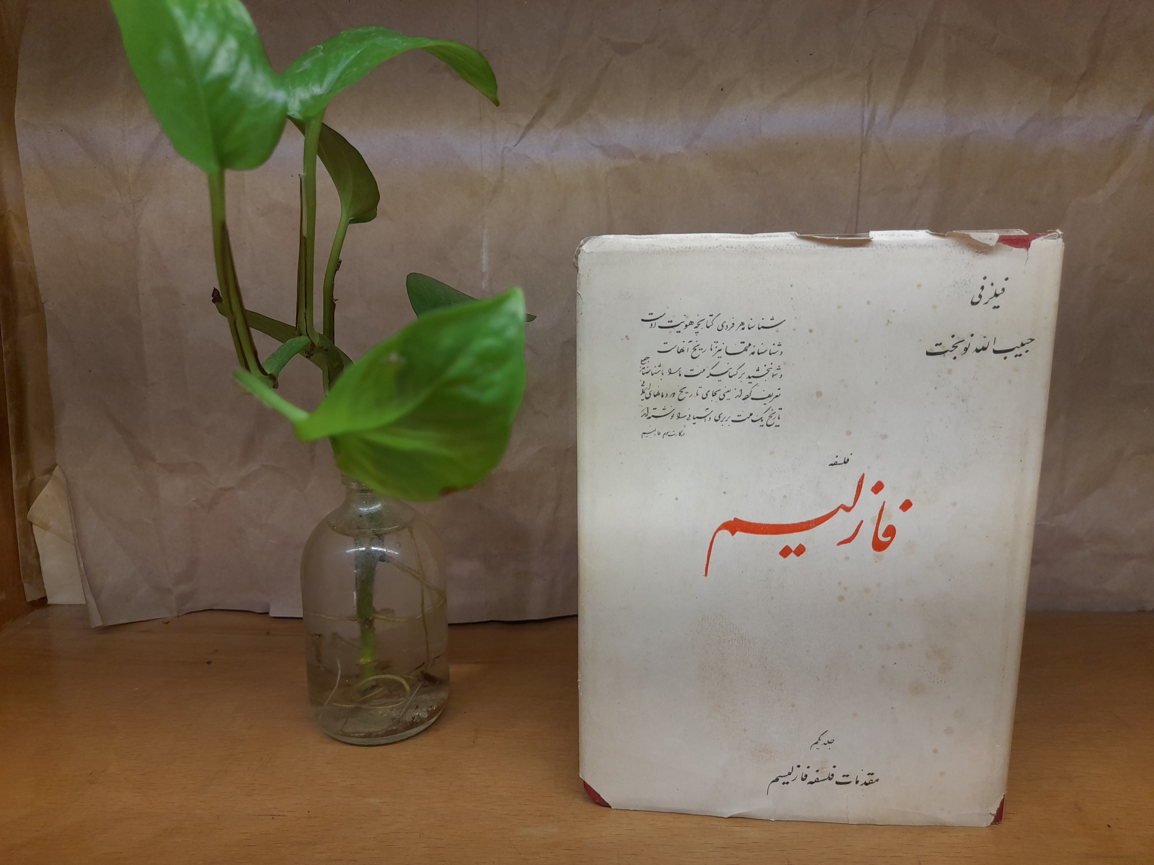 فلسفه فازلیسم حبیب الله نوبخت