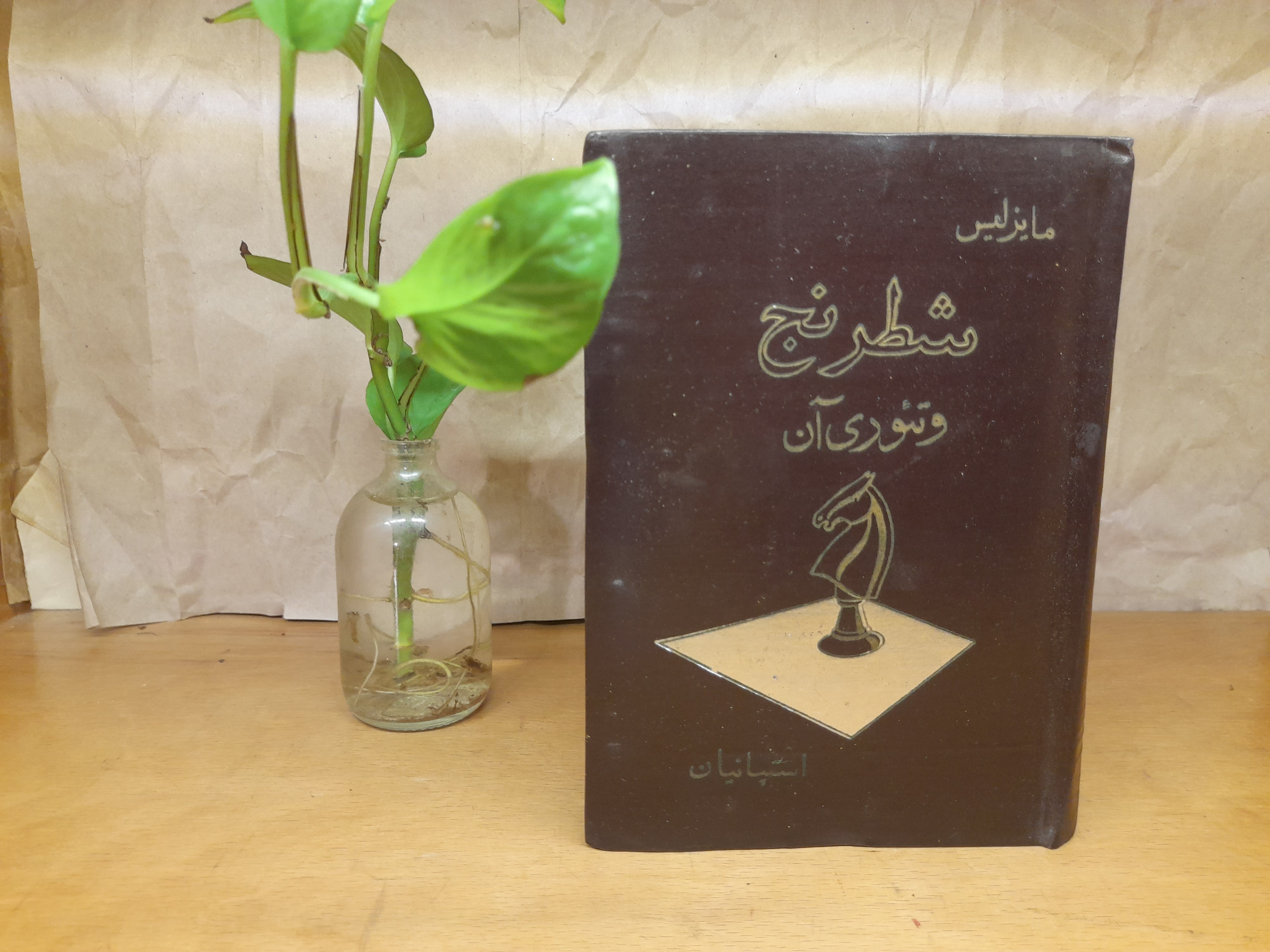 شطرنج و تئوری آن مایزلیس