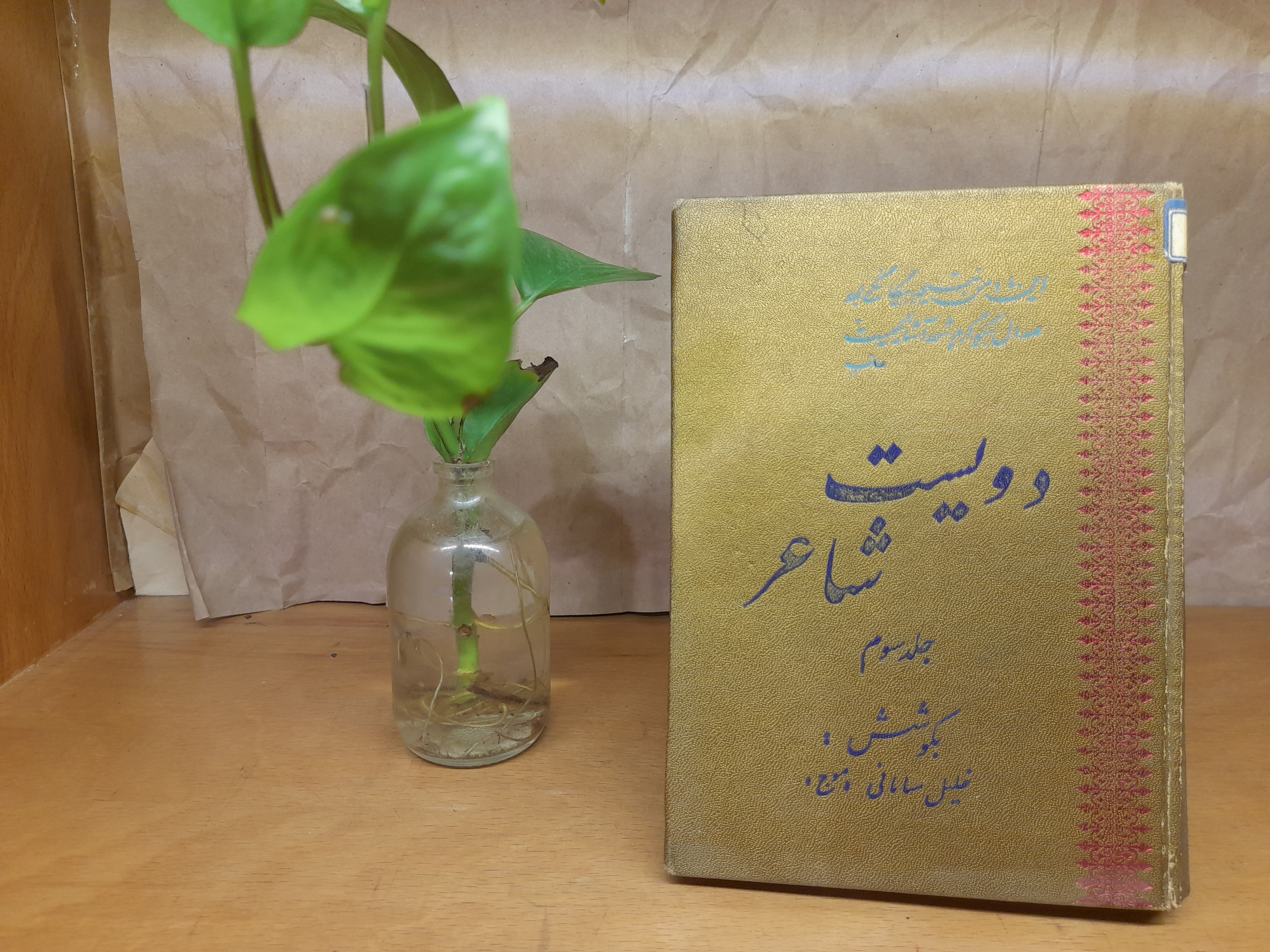 دویست شاعر خلیل سامانی-جلد سوم