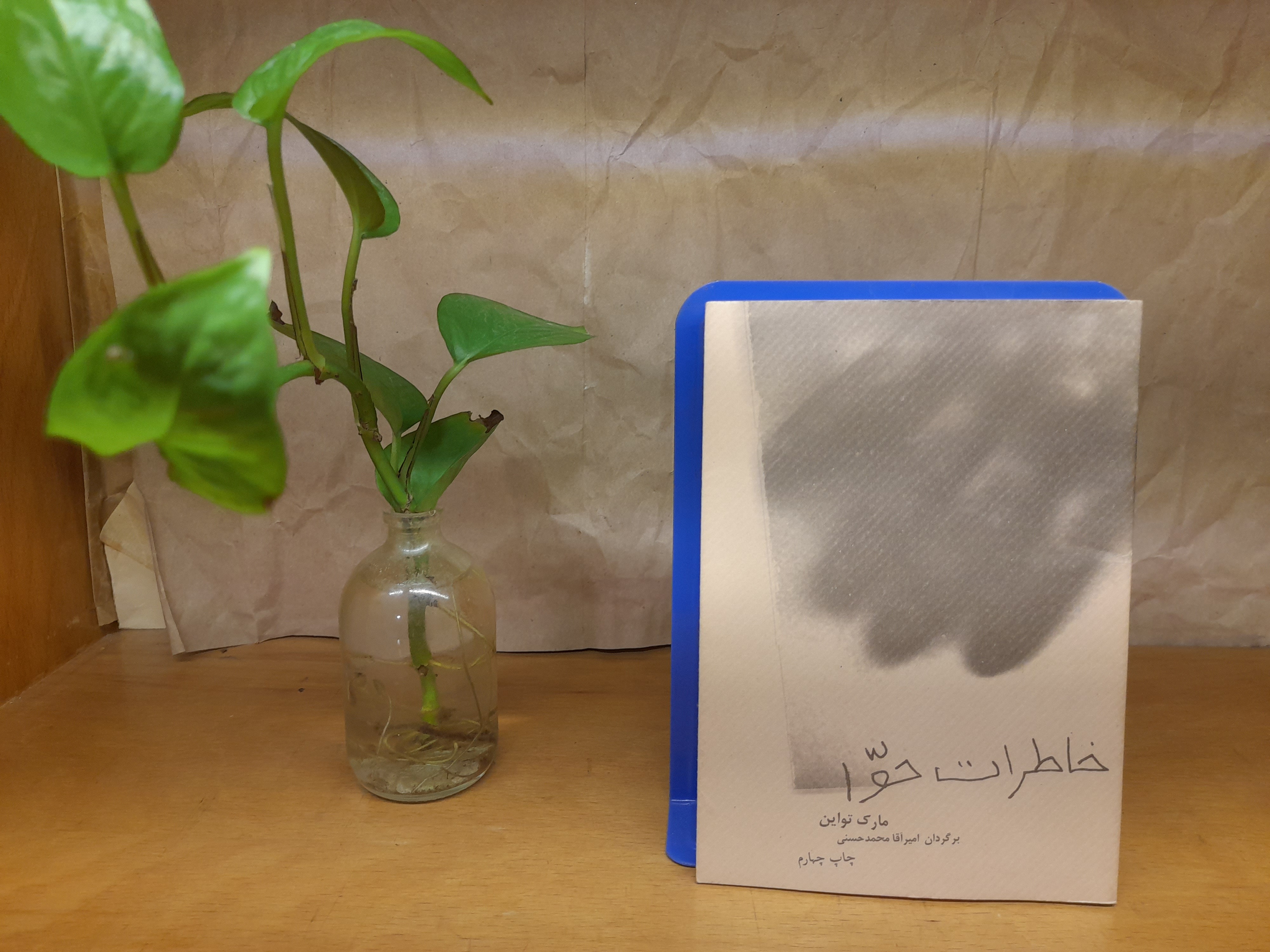 خاطرات حوا ( مارک تواین )
