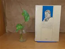جان