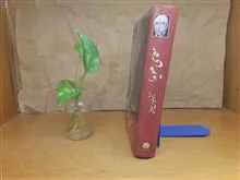 معمای