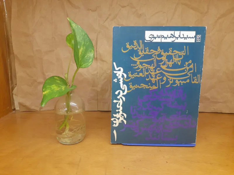 کاوشی در طنز ایران سید ابراهیم نبوی
