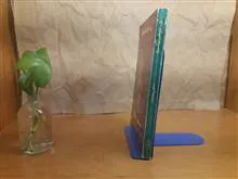 زن