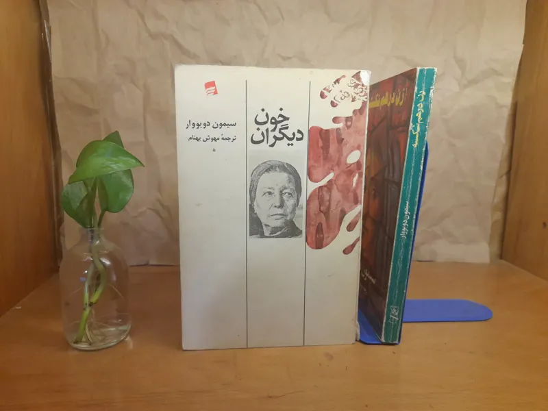 خون دیگران سیمین دو بووار
