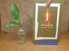سهروردی
