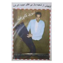 گلچینی