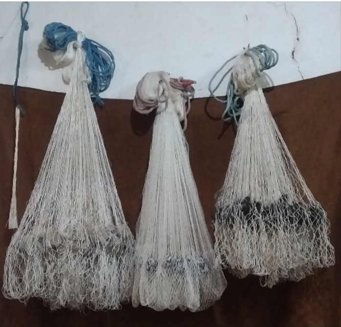 تورماهیگیری پرتابی حرفه ای(سالی شمالی)