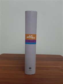 بنیادگرایی/
