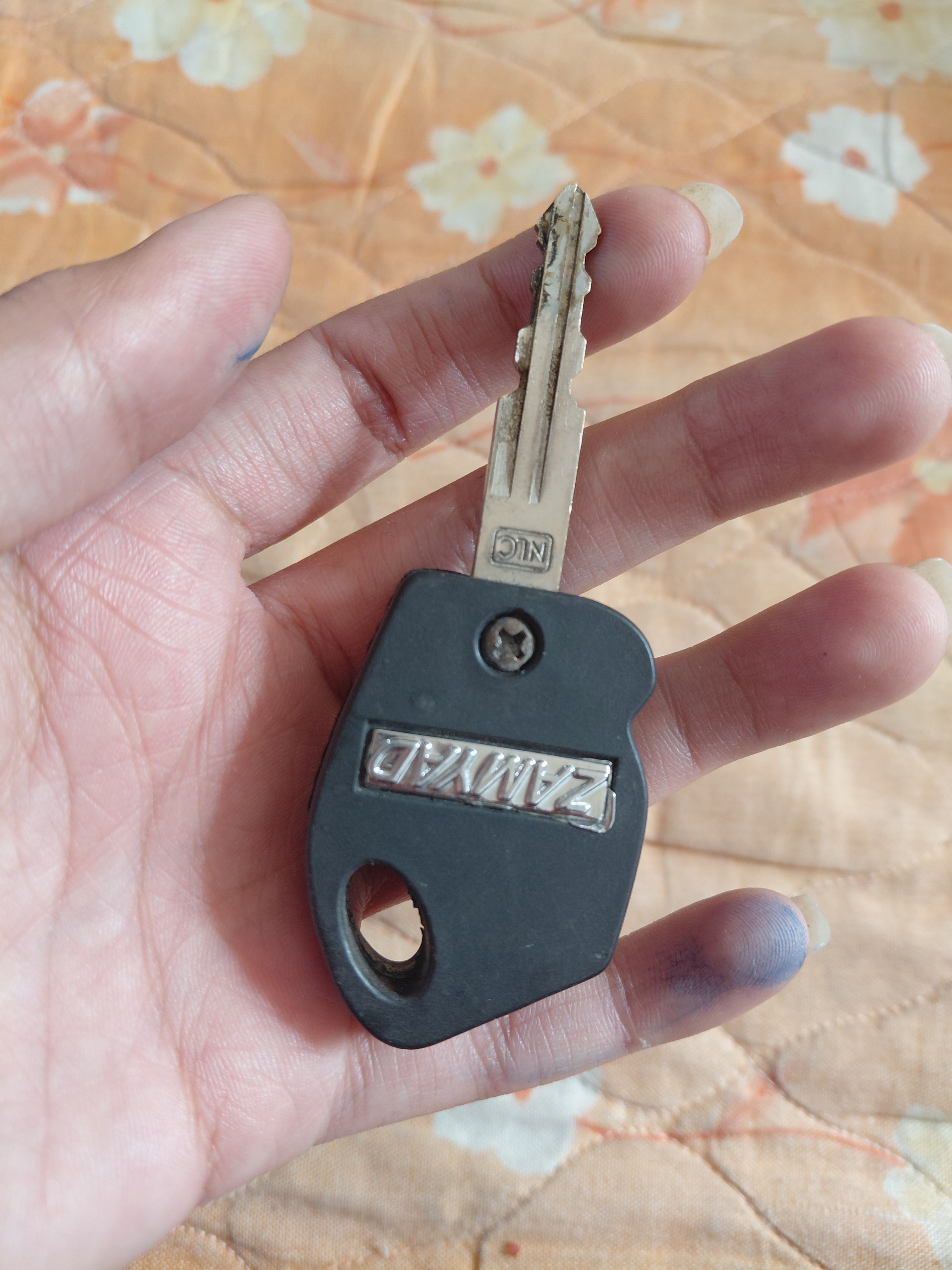 کلید زامیاد مطابق عکس