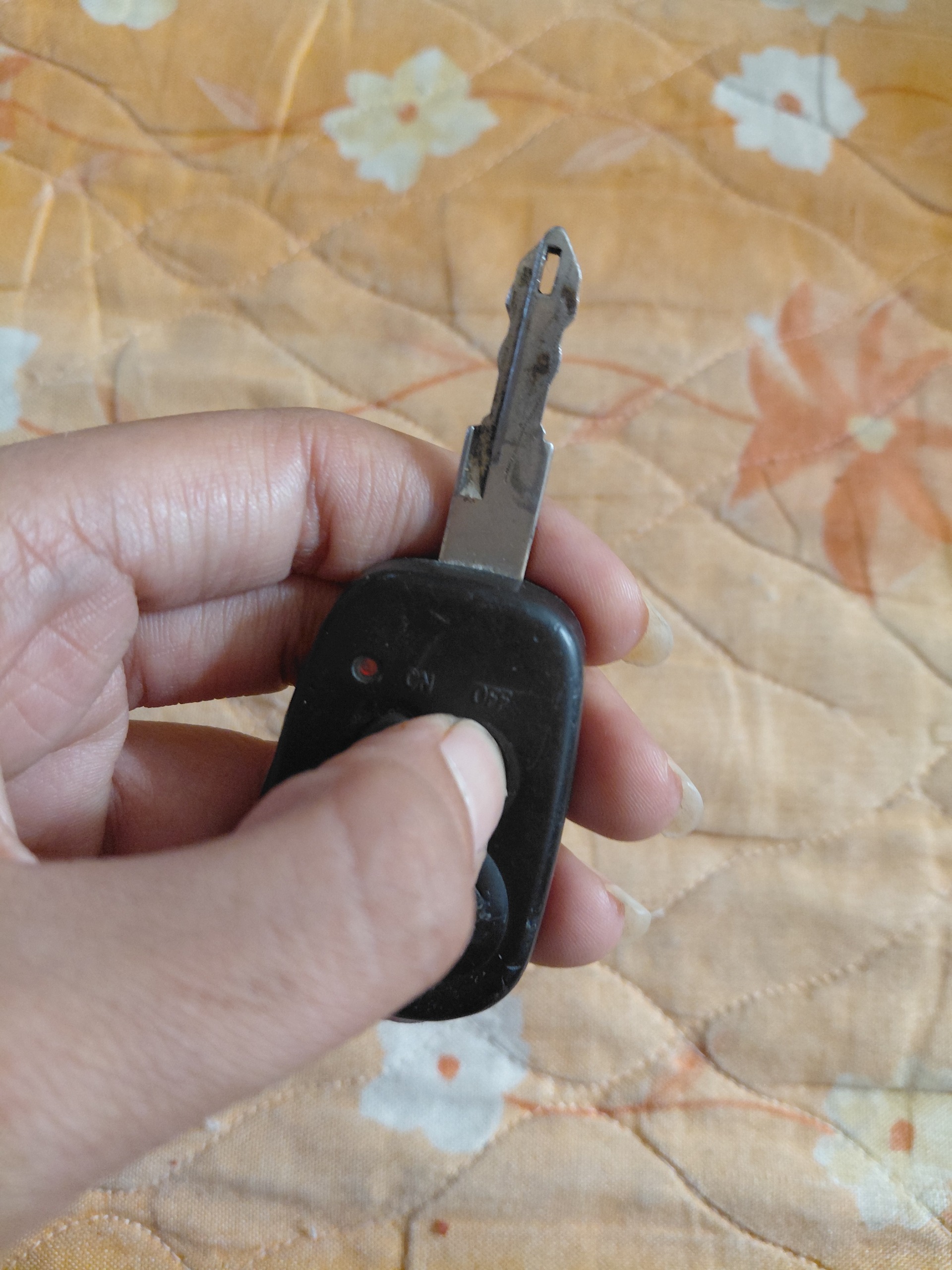 کلید ریموت دار