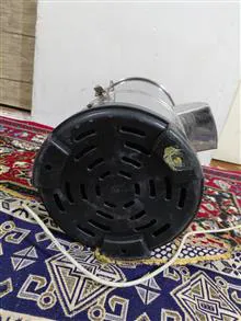 سبزی