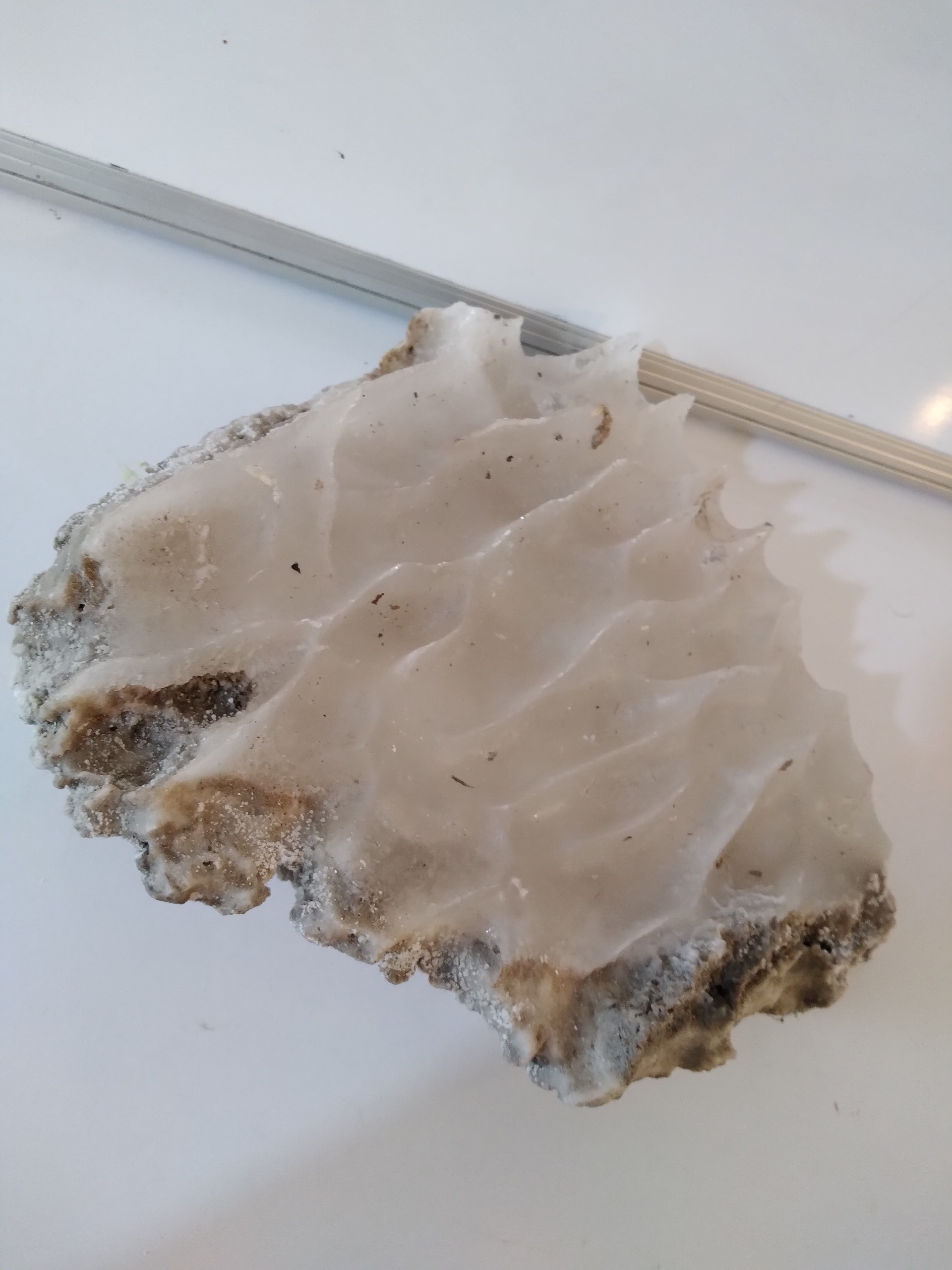 سنگ نمک نایاب موجی شکل و بزرگ و زیبا