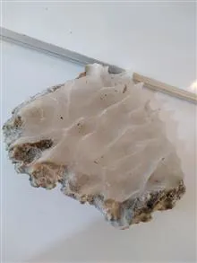 سنگ