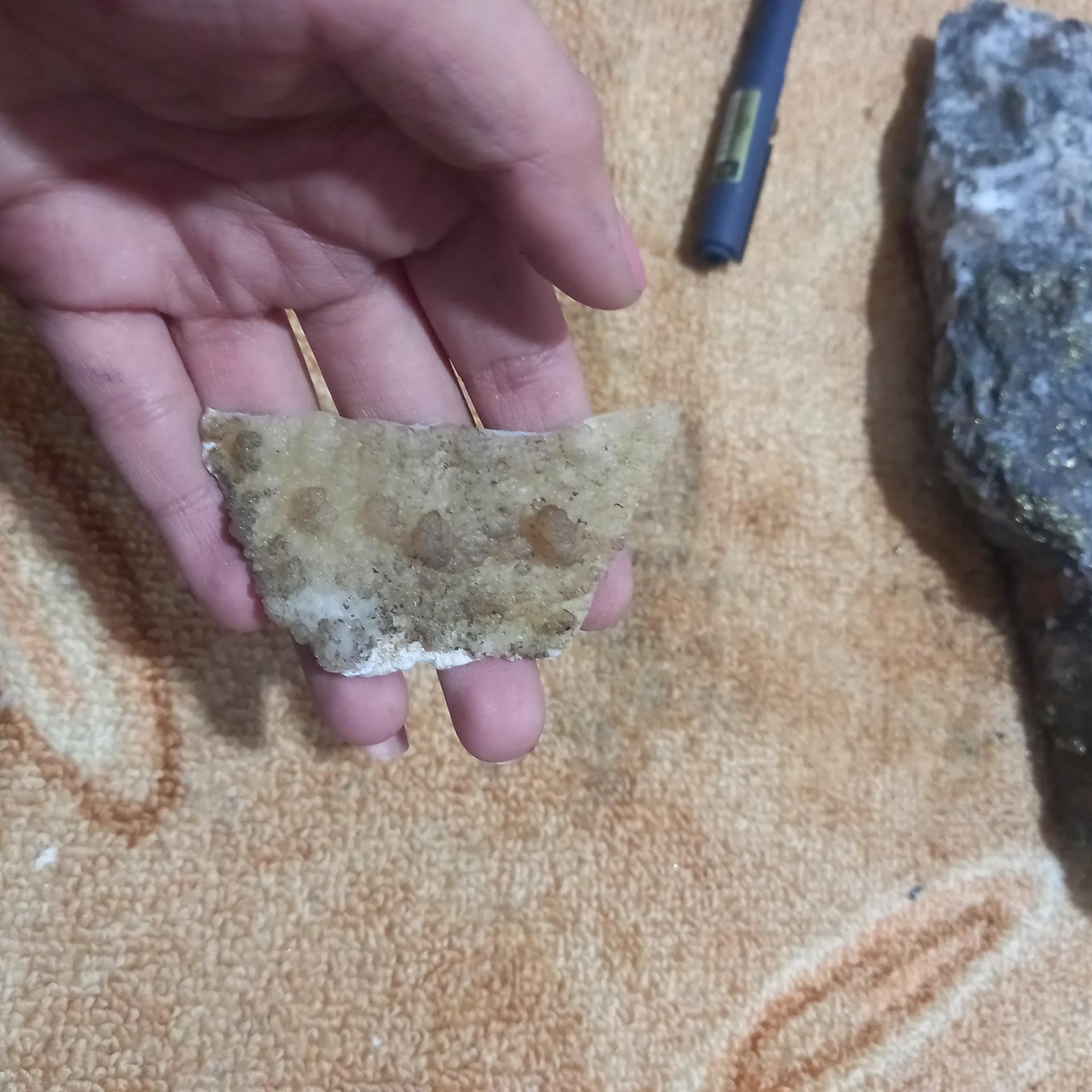 سنگ خاص طبیعی ظاهرن مرجان