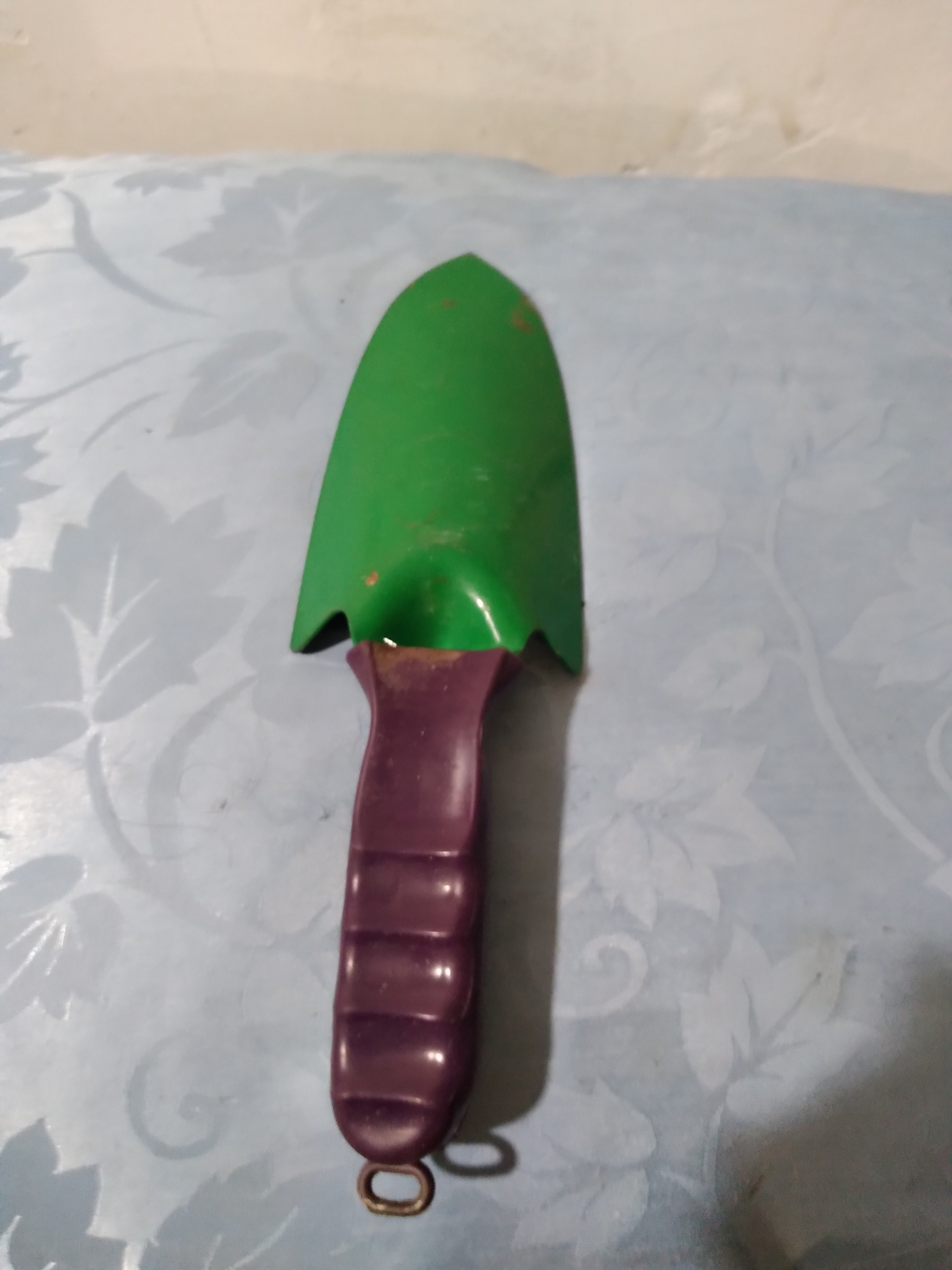 بیل کوچک طبق عکس