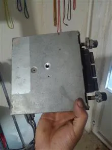 ظبط