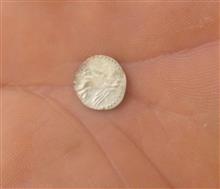 سکه