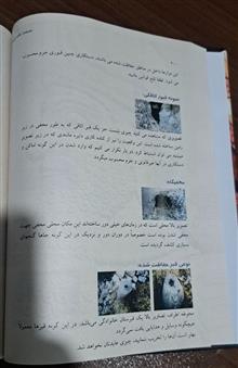 کتاب