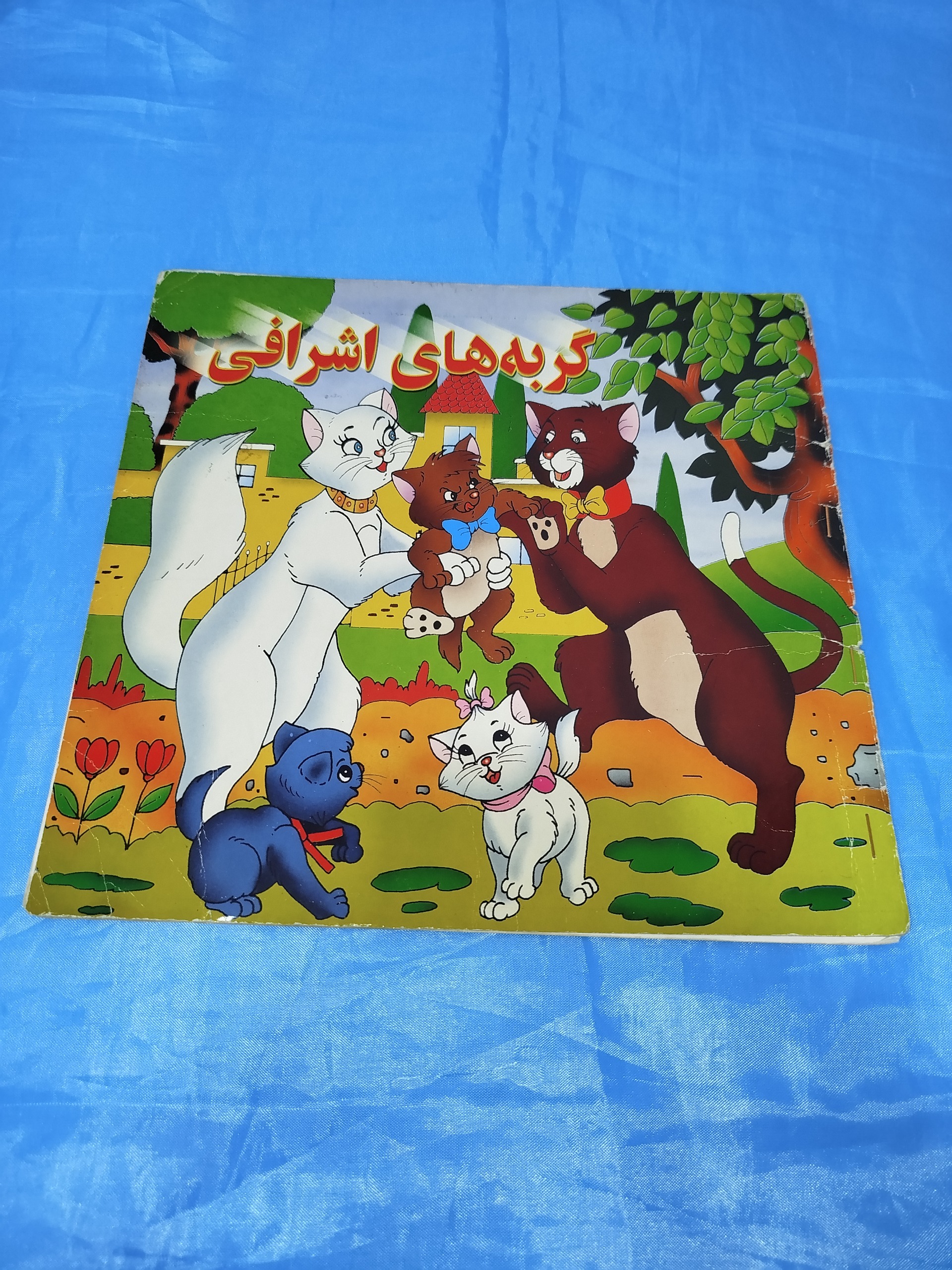گربه های اشرافی