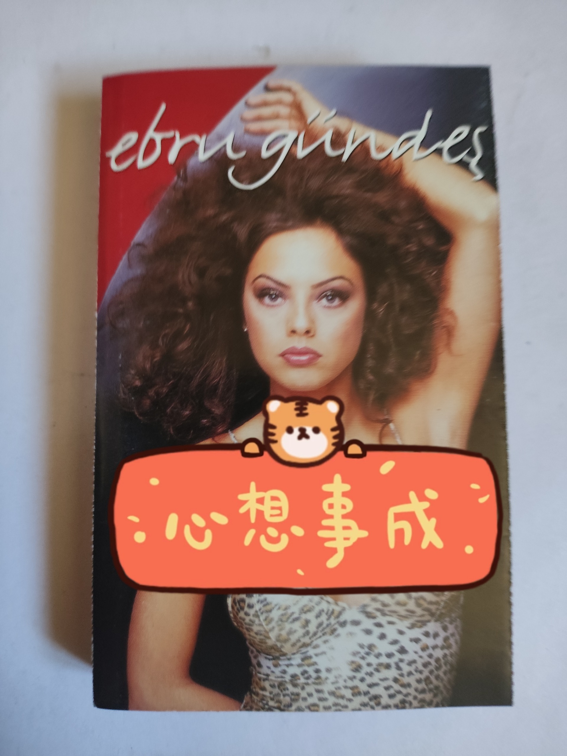 کاست خارجی ترکیه از ابرو گوندش  EBRU GINDES