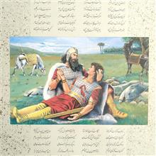 آلبوم