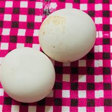 الماس