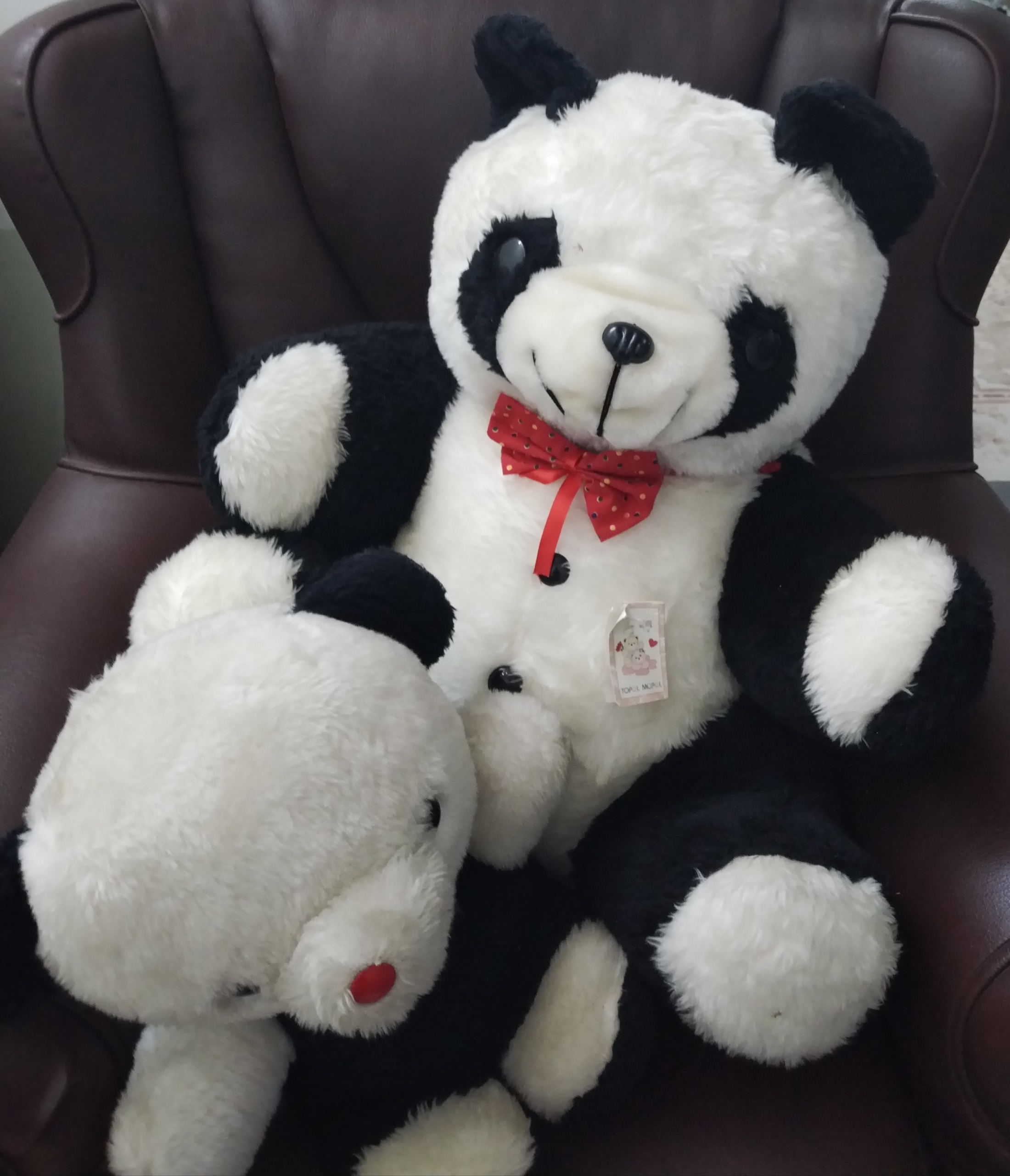 عروسک پاندای سالم