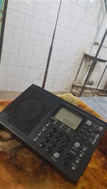 رادیو
