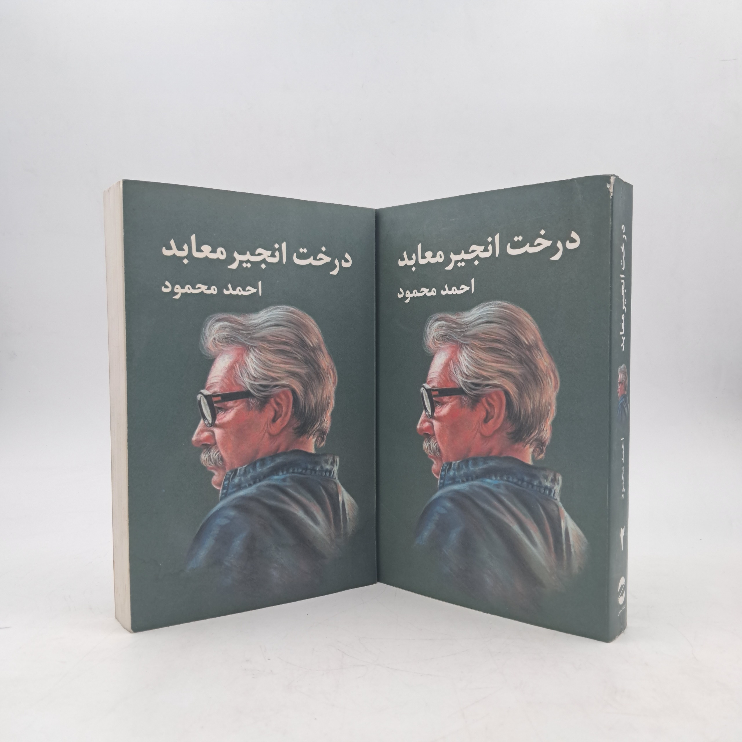 درخت انجیر معابد - احمد محمود (دوجلدی)